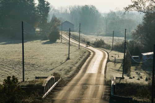 A winding rural road stretches through a misty landscape, flanked by trees and power lines under soft morning light.