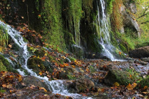 A serene waterfall cascading over mossy rocks, surrounded by autumn leaves and lush greenery.