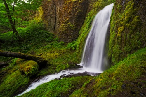 A serene waterfall cascades over moss-covered rocks, surrounded by lush green foliage in a tranquil forest setting.