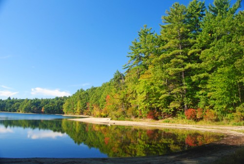 A serene lake surrounded by lush green trees, reflecting the vibrant colors of autumn under a clear blue sky.