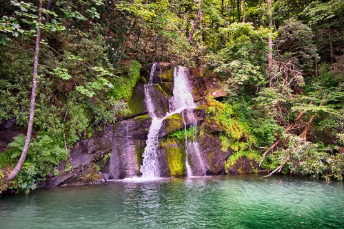 A serene waterfall cascading over moss-covered rocks into a tranquil green pool, surrounded by lush forest.