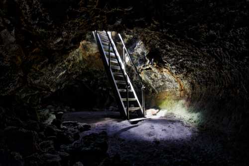 A dimly lit cave with a metal ladder leading up to a bright opening above. Shadows and rocky textures surround the area.