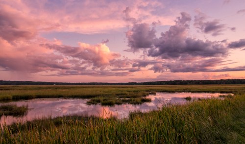 A serene wetland at sunset, with vibrant clouds reflecting in the water and lush green grass surrounding the scene.