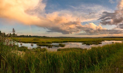 A serene landscape featuring a calm wetland with tall grasses, reflecting clouds and a rainbow in the sky.