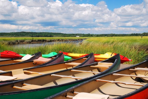 Colorful canoes lined up by a grassy riverbank under a blue sky with fluffy clouds.