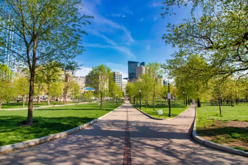 A sunny park pathway lined with trees, leading towards city buildings in the background under a clear blue sky.