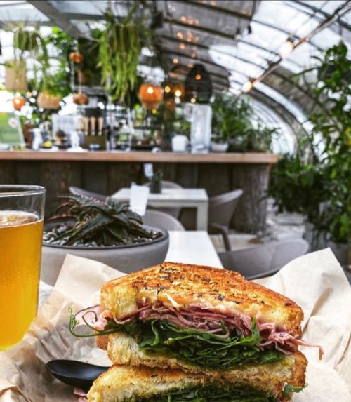 A close-up of a sandwich with greens and ham, accompanied by a glass of drink, set in a lush, plant-filled café.