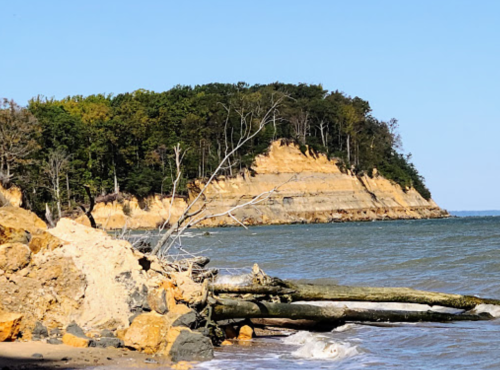 A sandy beach with a rocky shoreline and a forested cliff in the background under a clear blue sky.