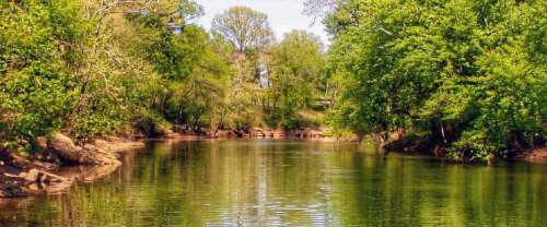 A serene river surrounded by lush green trees under a clear blue sky.