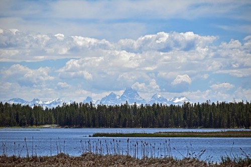 A serene lake surrounded by trees, with snow-capped mountains and fluffy clouds in the background.