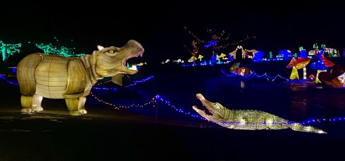 A lit-up hippo and crocodile display at night, surrounded by colorful holiday lights and decorations.