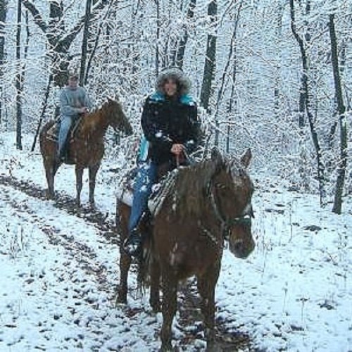 Two people riding horses through a snowy forest, surrounded by trees covered in snow.