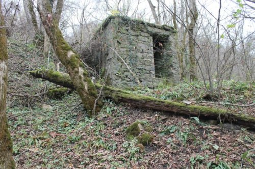 A moss-covered stone structure in a wooded area, surrounded by fallen trees and overgrown vegetation.