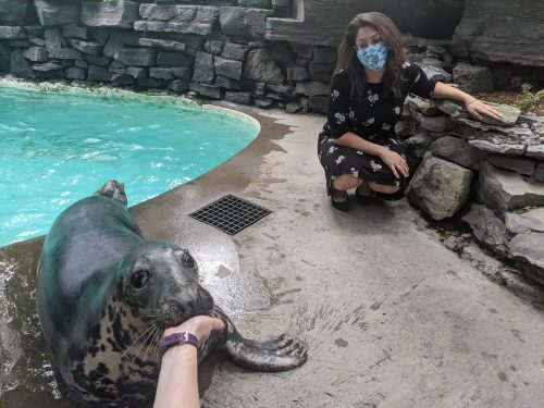 A woman in a mask interacts with a seal near a pool, with stone walls in the background.