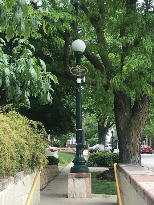 A decorative street lamp stands along a tree-lined sidewalk, with greenery and a glimpse of cars in the background.