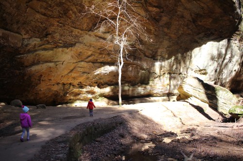 Two children walk along a path in a rocky cave area, with a bare tree and sunlight filtering through the rocks.