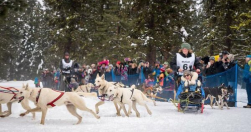 A dog sled team races through snow, with spectators cheering behind a blue fence in a winter landscape.