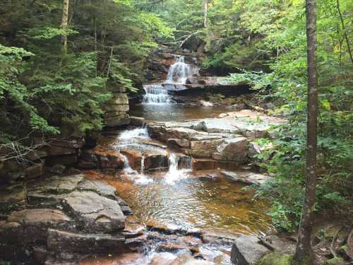 A serene forest scene featuring a cascading waterfall over rocky terrain, surrounded by lush green trees.