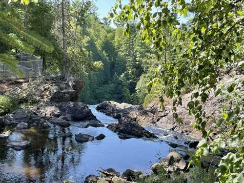 A serene river flows through rocky terrain, surrounded by lush green trees and foliage under a clear blue sky.