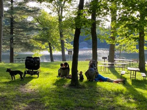 A family relaxes on the grass by a lake, with strollers and a dog nearby, surrounded by trees and picnic tables.