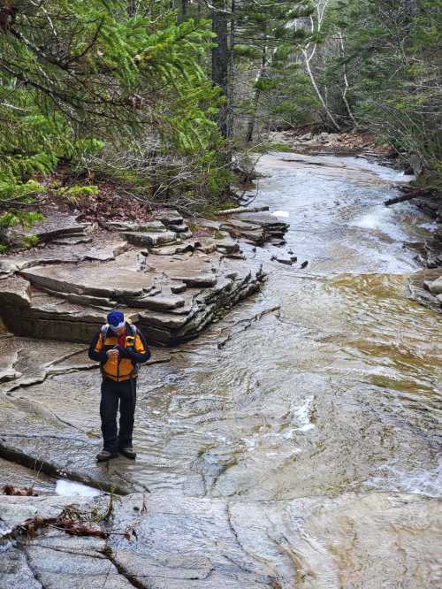 A person in a yellow jacket stands by a rocky stream surrounded by trees in a serene natural setting.