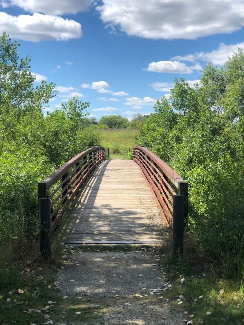 A wooden bridge spans a path through lush greenery under a blue sky with fluffy clouds.