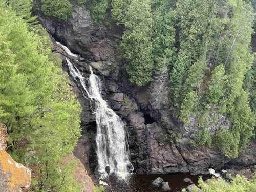 A cascading waterfall flows down rocky cliffs, surrounded by lush green trees and a dark pool below.