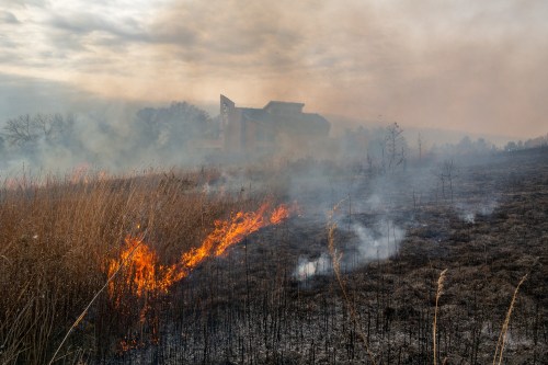 A wildfire burns through dry grass, with smoke rising and a building faintly visible in the background.