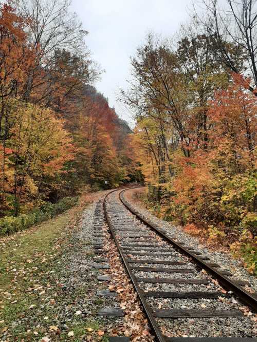 A winding railway track surrounded by vibrant autumn foliage and trees in shades of orange and yellow.