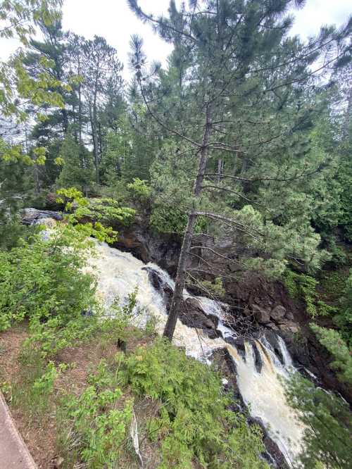 A rushing waterfall flows through a rocky landscape, surrounded by lush green trees and foliage.