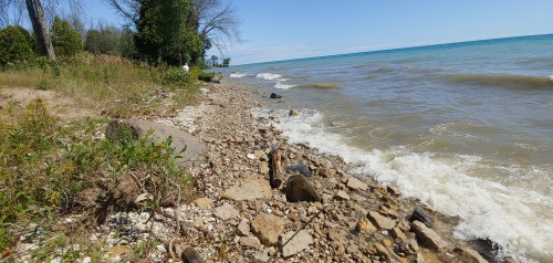 A rocky shoreline with gentle waves lapping at the water's edge, surrounded by trees and clear blue skies.