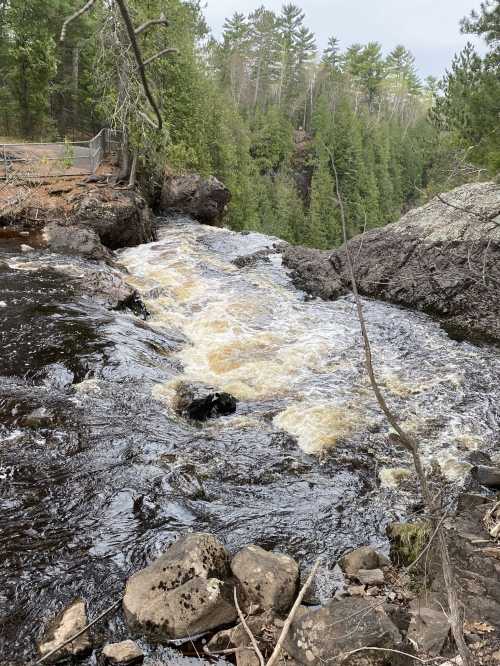 A rushing river flows over rocks, surrounded by lush green trees and a rocky landscape.