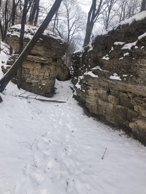 A snowy path between two rocky cliffs, with bare trees lining the sides and a cloudy sky above.