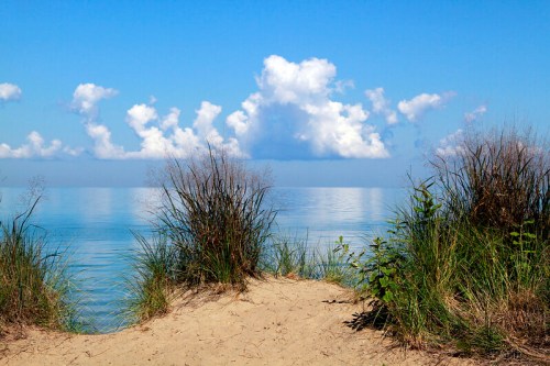 A serene beach scene with soft sand, tall grasses, and calm water under a clear blue sky with fluffy clouds.