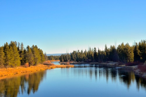 A serene river flows through a forest, reflecting blue skies and trees, with golden grass along the banks.