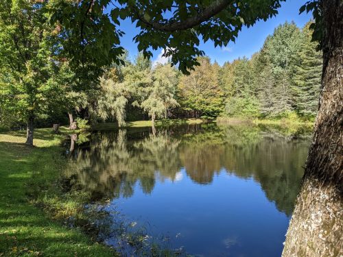 A serene pond surrounded by trees, reflecting the blue sky and greenery on a sunny day.