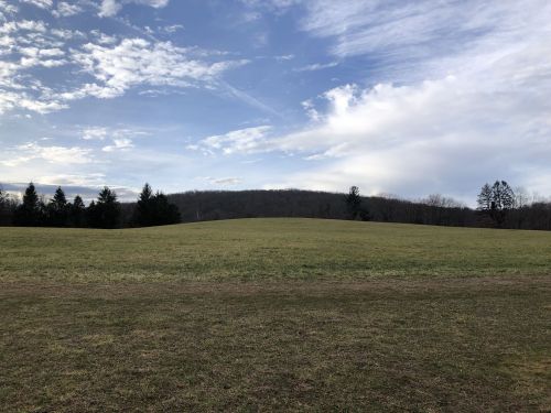 A grassy field stretches towards a distant hill under a partly cloudy sky. Trees line the horizon.