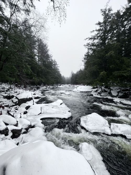 A snowy river scene with icy rocks and trees lining the banks, under a gray, overcast sky.