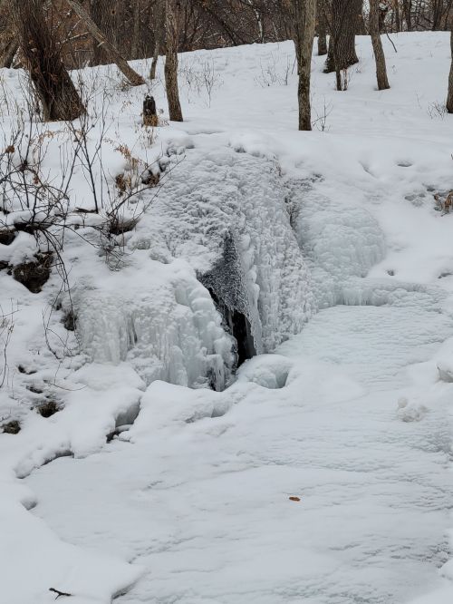 A frozen waterfall surrounded by snow-covered ground and bare trees in a winter landscape.