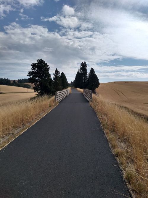 A paved path leads through tall grass, flanked by trees, under a partly cloudy sky in a rural landscape.