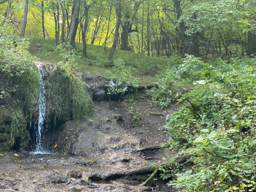 A small waterfall cascades down rocky terrain, surrounded by lush green trees and foliage in a serene forest setting.