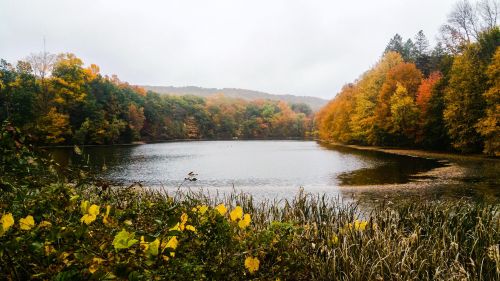 A serene lake surrounded by trees displaying vibrant autumn colors under a cloudy sky.