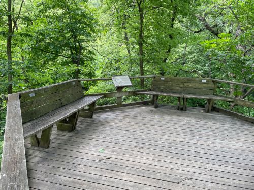Wooden observation deck surrounded by lush green trees, featuring benches and an informational sign.