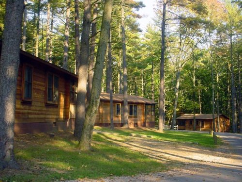 A serene forest scene featuring wooden cabins surrounded by tall trees and a gravel path.