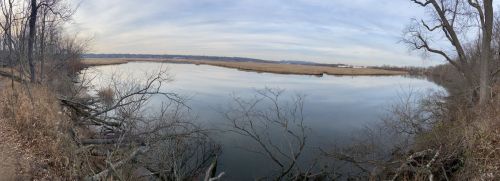 A serene river scene with calm water, bare trees, and grassy banks under a cloudy sky.