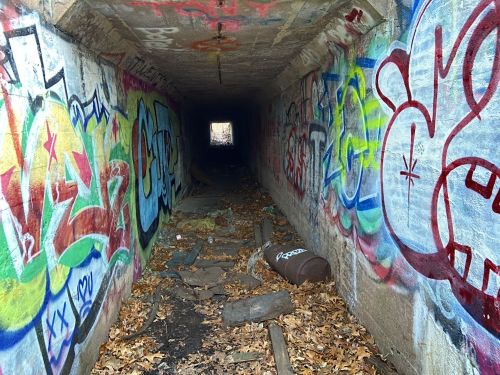 A dark tunnel covered in colorful graffiti, with debris and leaves scattered on the ground, leading to a bright opening.