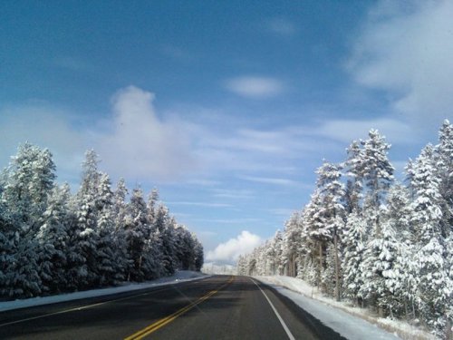A snow-covered road lined with trees under a blue sky with scattered clouds.