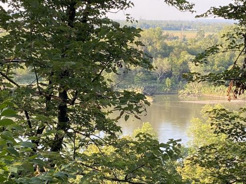 A serene river view framed by lush green trees and foliage, with distant fields visible in the background.