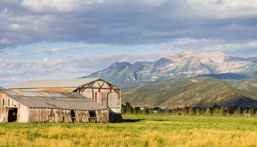 A rustic barn sits in a grassy field with mountains and a cloudy sky in the background.