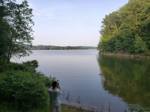 A person stands by a calm lake surrounded by trees, capturing the serene landscape with a camera.